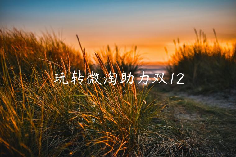 玩轉(zhuǎn)微淘助力雙12